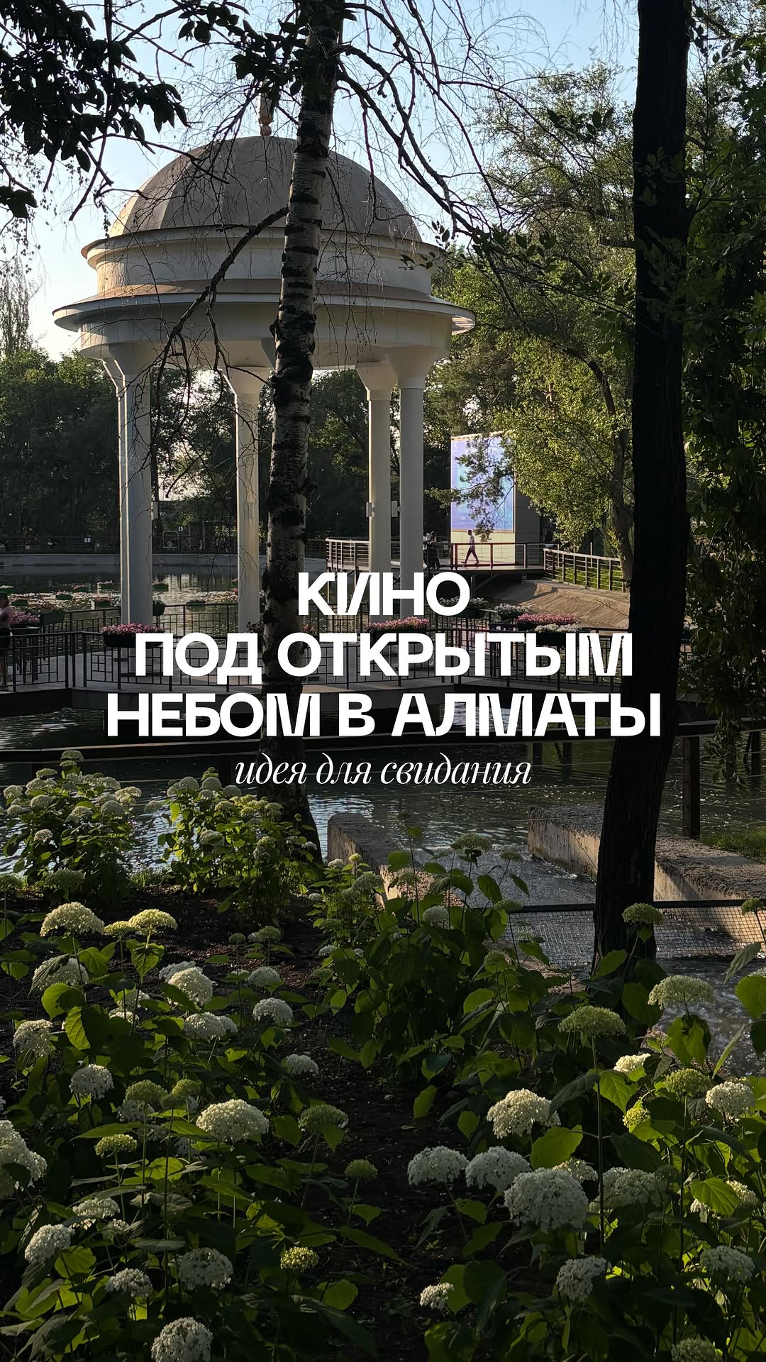 Кино под открытым небом в кофейне Aspan Terrenqour