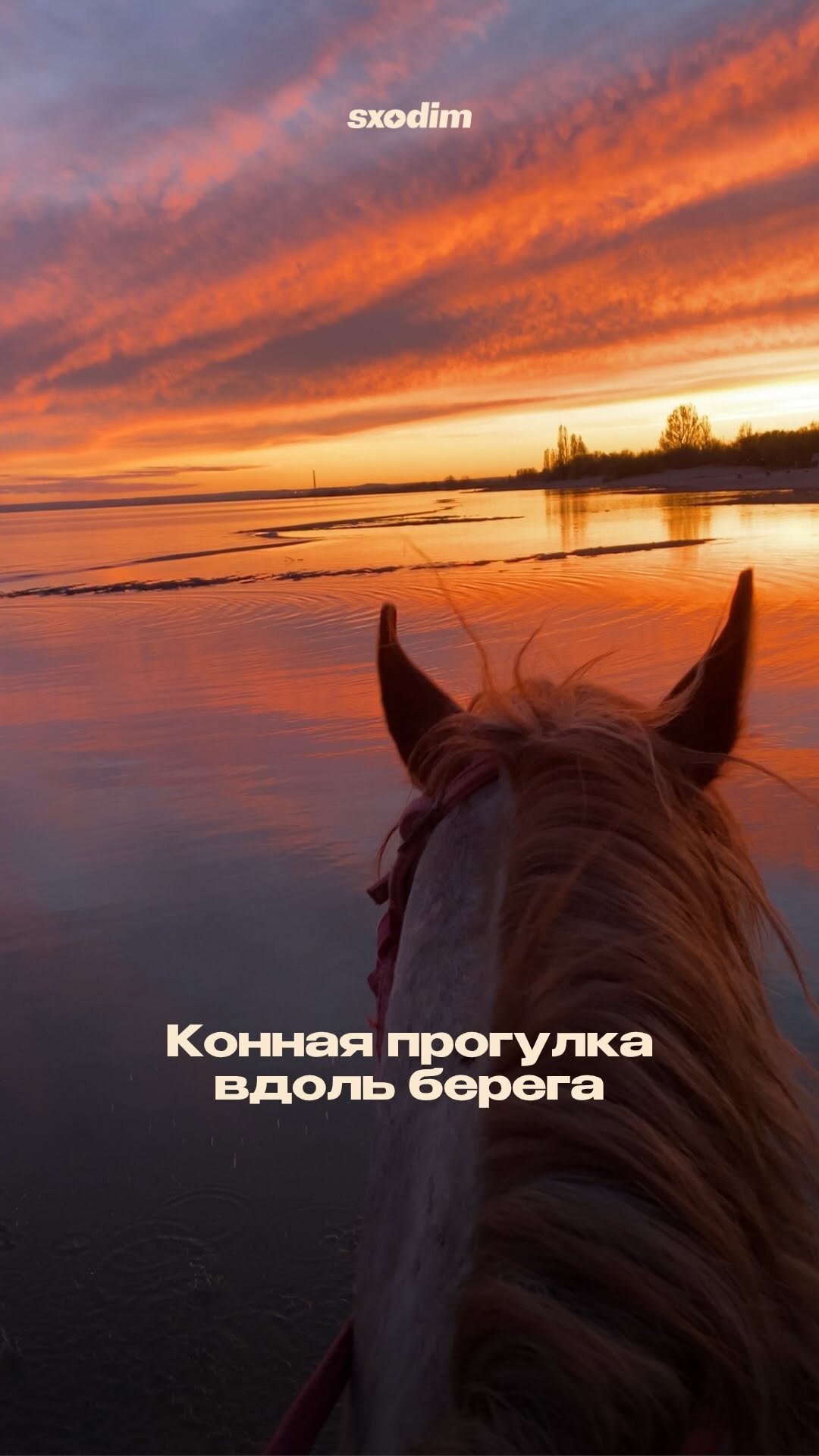 Конная прогулка вдоль берега